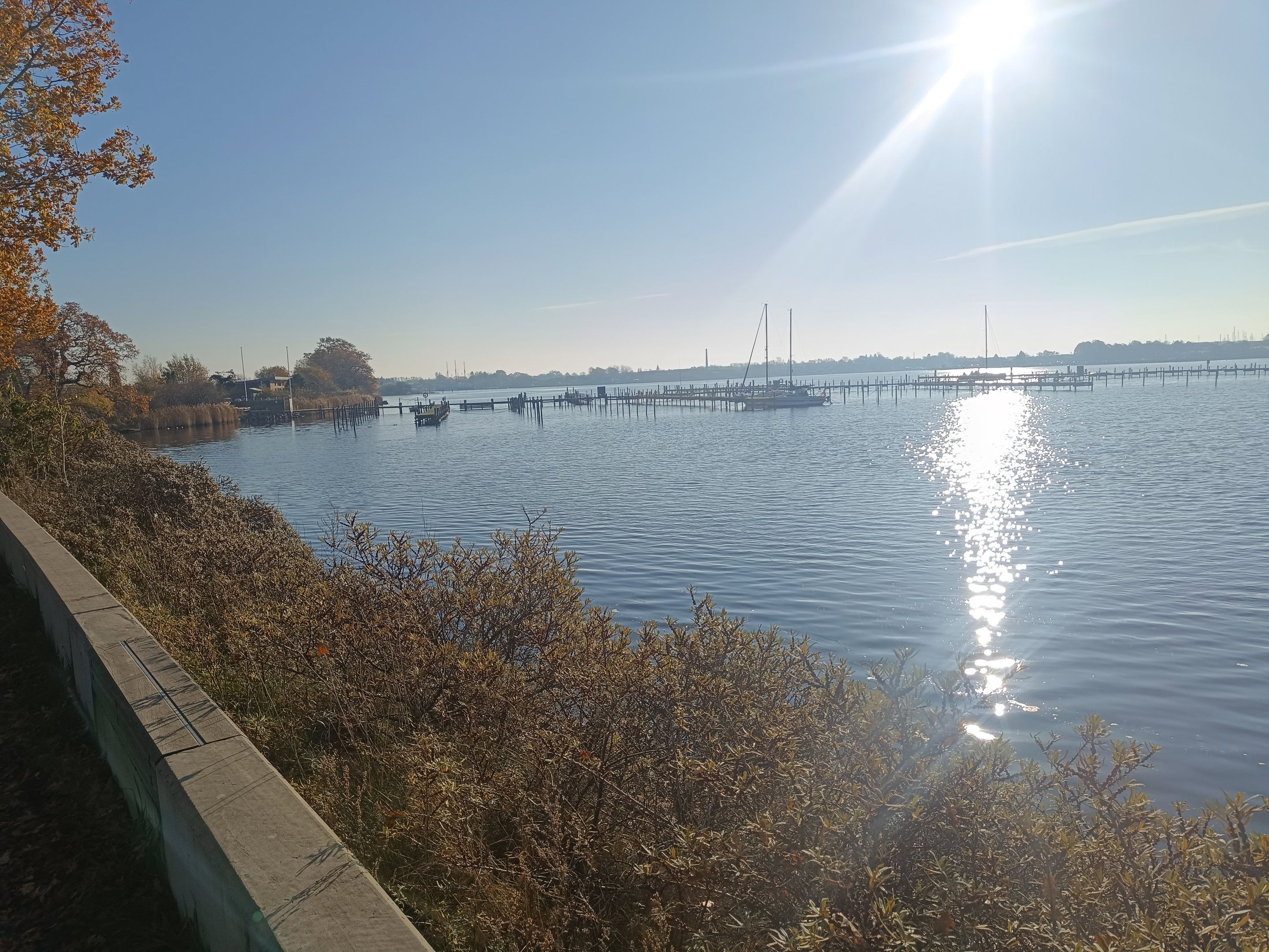Een rustig waterlichaam met een steiger die erin uitloopt, omringd door begroeiing en een heldere lucht.