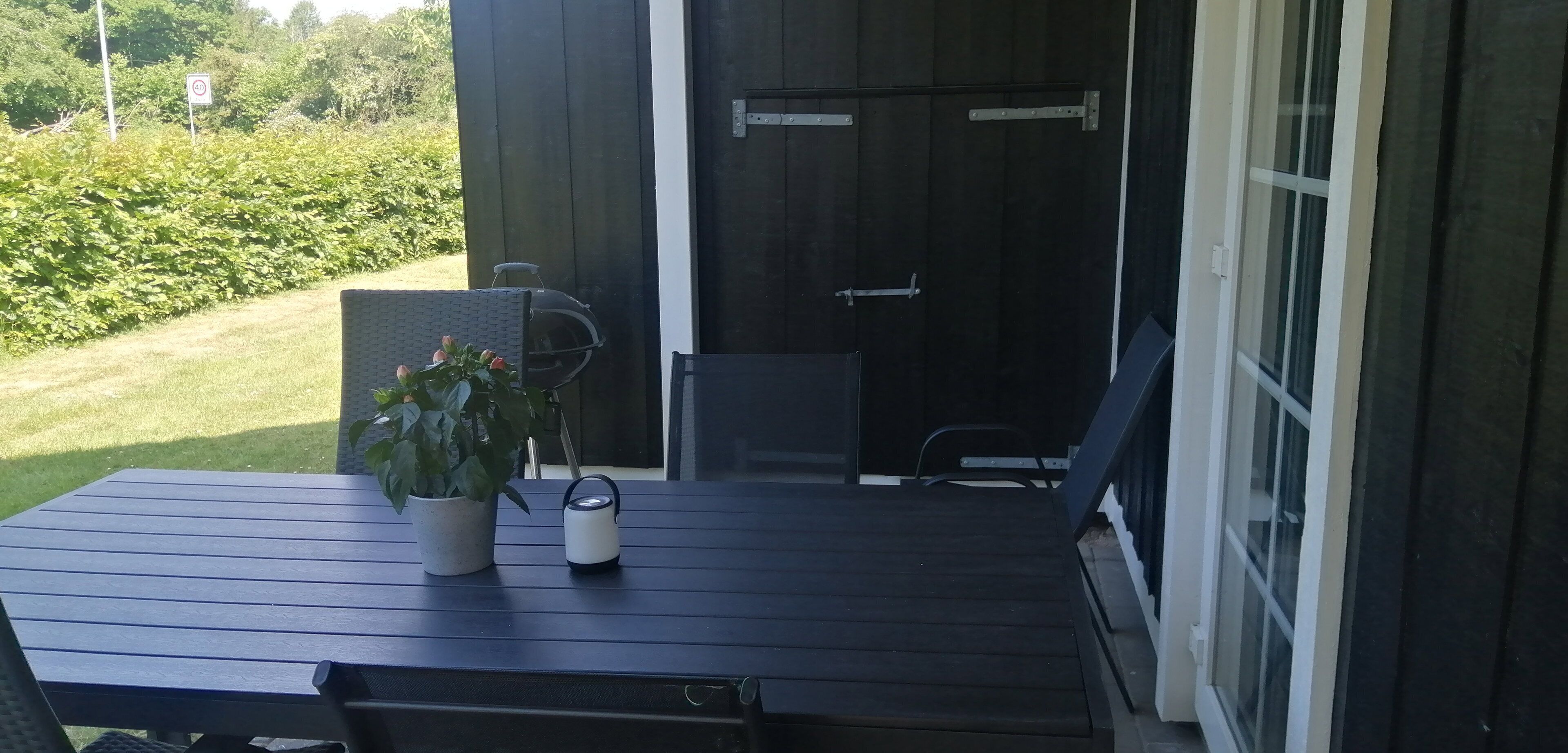 Une terrasse avec une table, une plante en pot et une petite bouilloire.