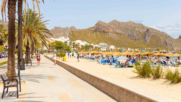 A beach with palm trees, sun loungers, and a mountain in the background. - Nice apartment near the beach in Port de Pollença (Port de Pollença)