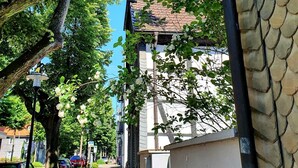 Una calle estrecha bordeada de árboles y coches estacionados, que conduce a un edificio con techo de tejas.