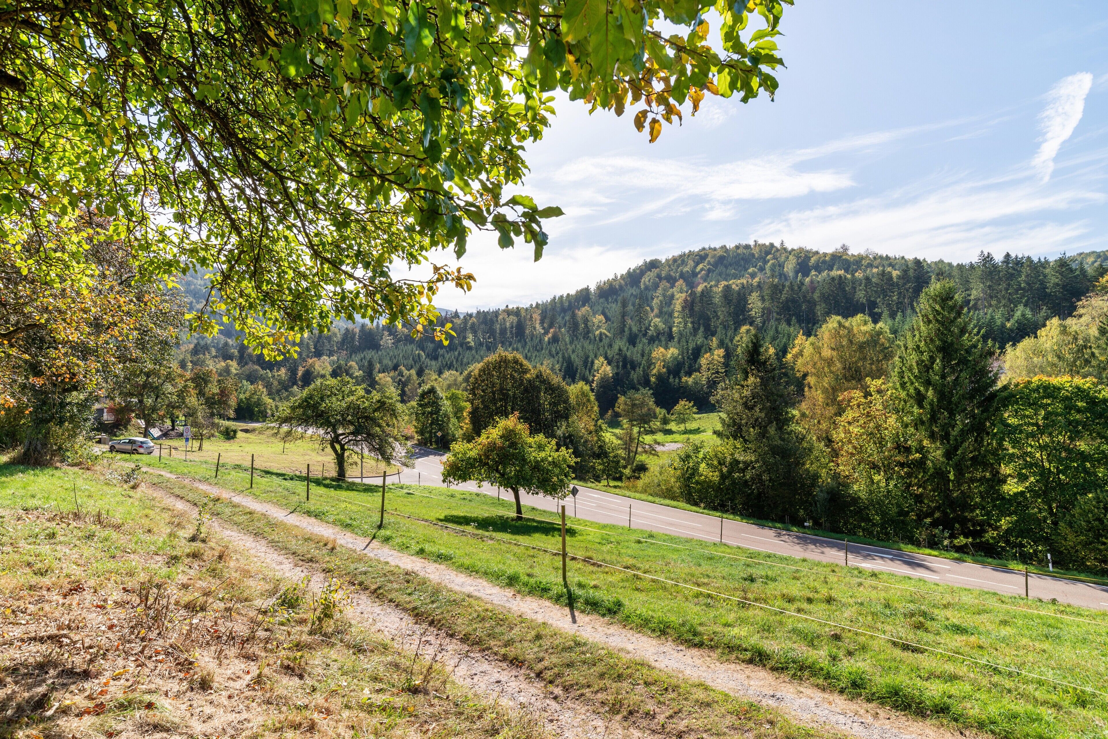 Ländliche Landschaft mit einer Straße, Bäumen und einem Zaun.