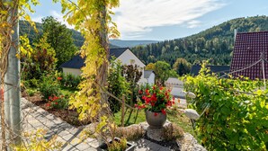 A residential area with houses, a garden with potted plants, and a view of a forested hill.