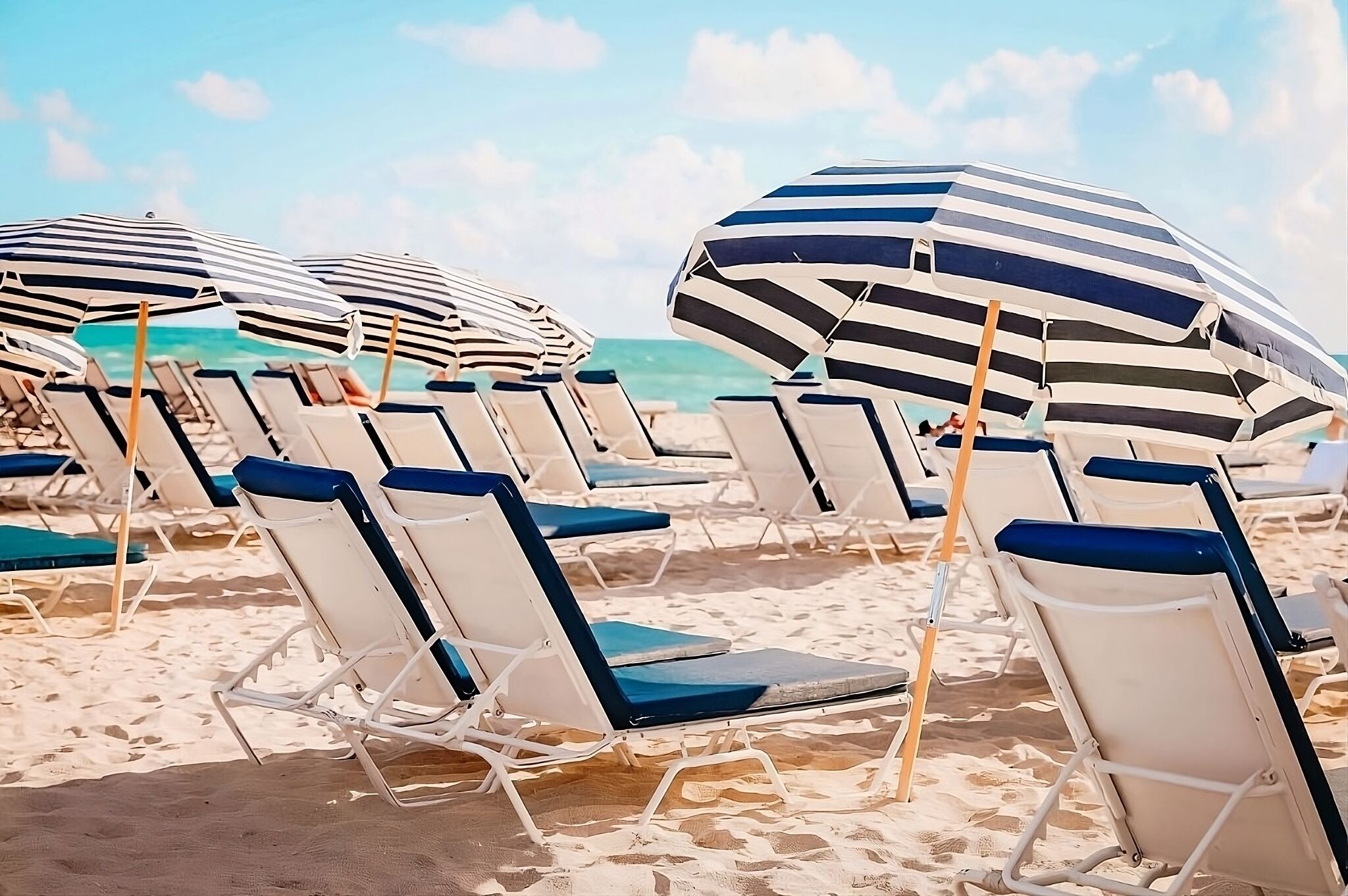 A Spectacular Retreat in the Heart of South Beach! Pets Allowed! Swimming Pool!