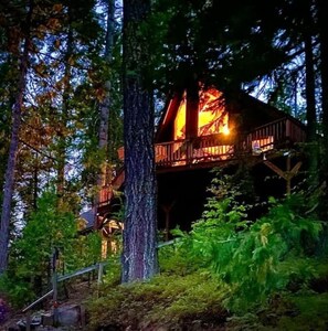 Exterior - Beautiful Cabin Gated Park Pinecrest Dodge Ridge (Long Barn)