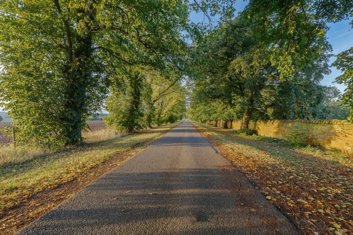 A paved road flanked by trees and a stone wall.