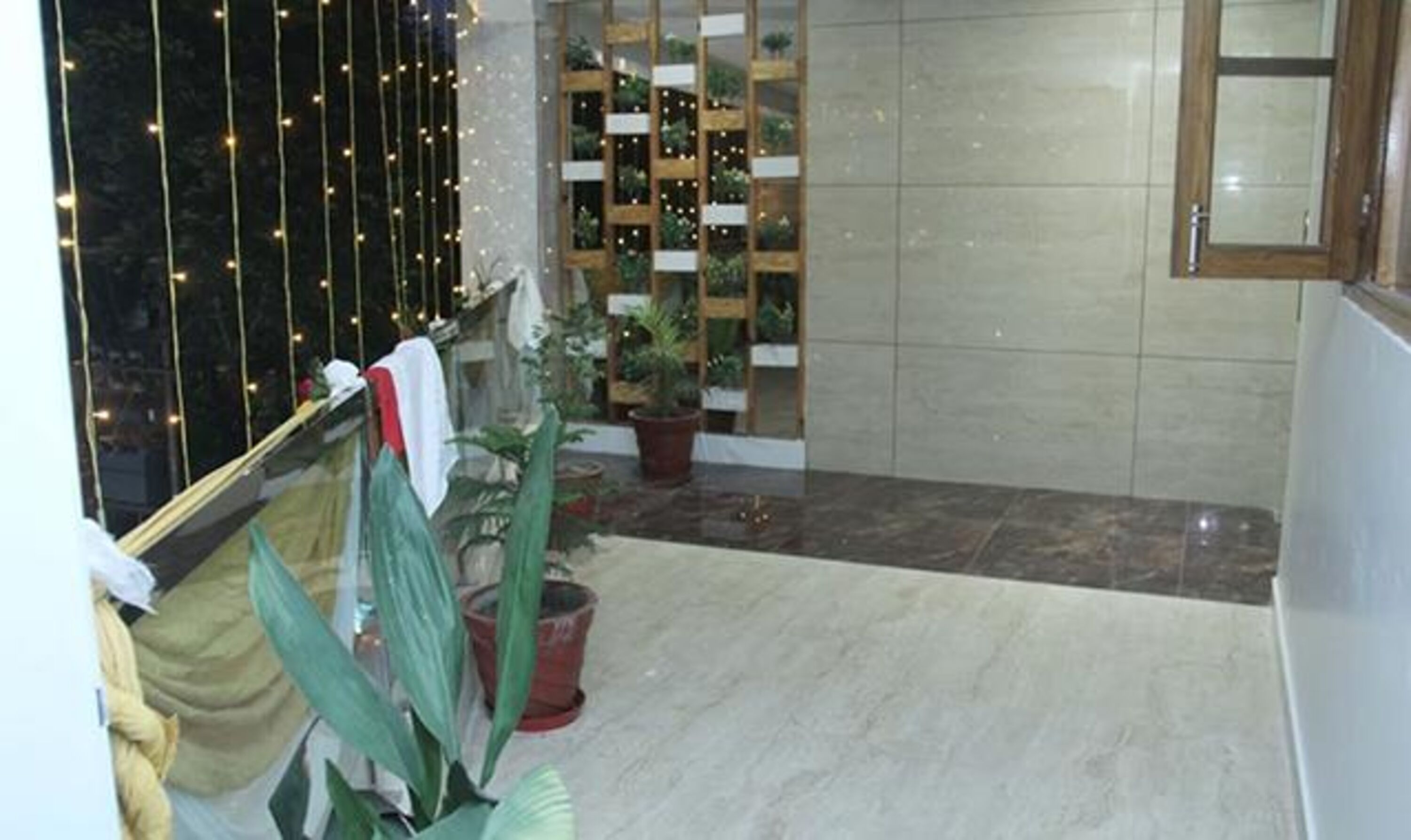 A room with a large window, a potted plant, and a wooden shelf with plants.