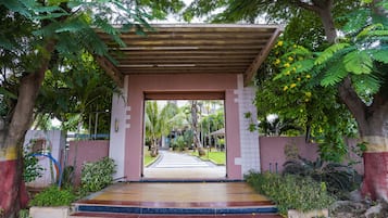 Garden view