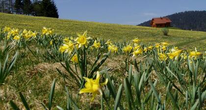 RESIDENCE LES BICHES - APPARTEMENT LES BICHETTES - RDC Jardin Privé, plein Sud