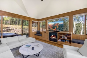 TV, fireplace, books, offices