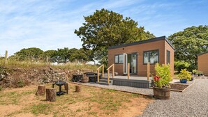 Un bâtiment moderne doté d’une terrasse, d’un barbecue et de plantes en pot.