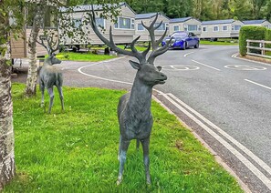 Jardines del alojamiento