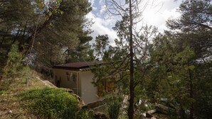 A secluded cabin surrounded by dense forest, with a stone staircase leading up to the entrance.