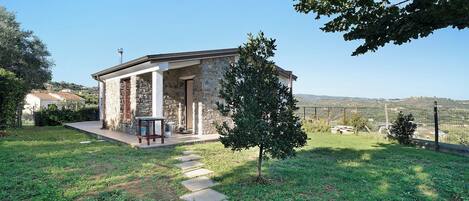 テラス / パティオ