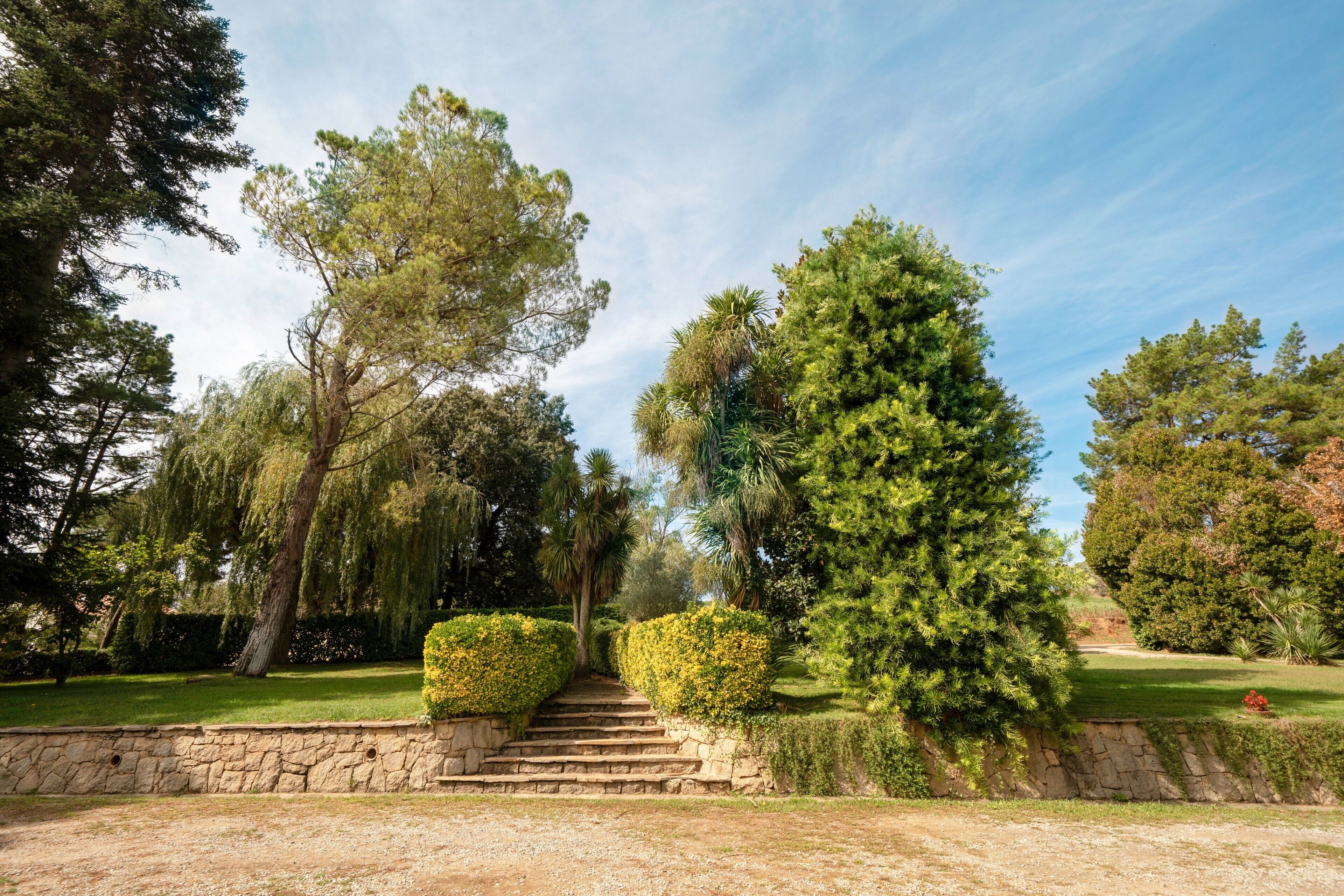 Terrein van de accommodatie