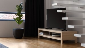 A modern living room with a flat-screen TV on a wooden stand, a potted plant, and a minimalist shelving unit against the wall.