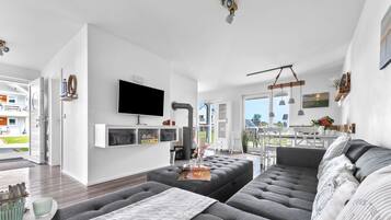 Televisión, chimenea, videoteca