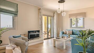 TV, fireplace, books