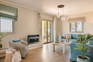 TV, fireplace, books