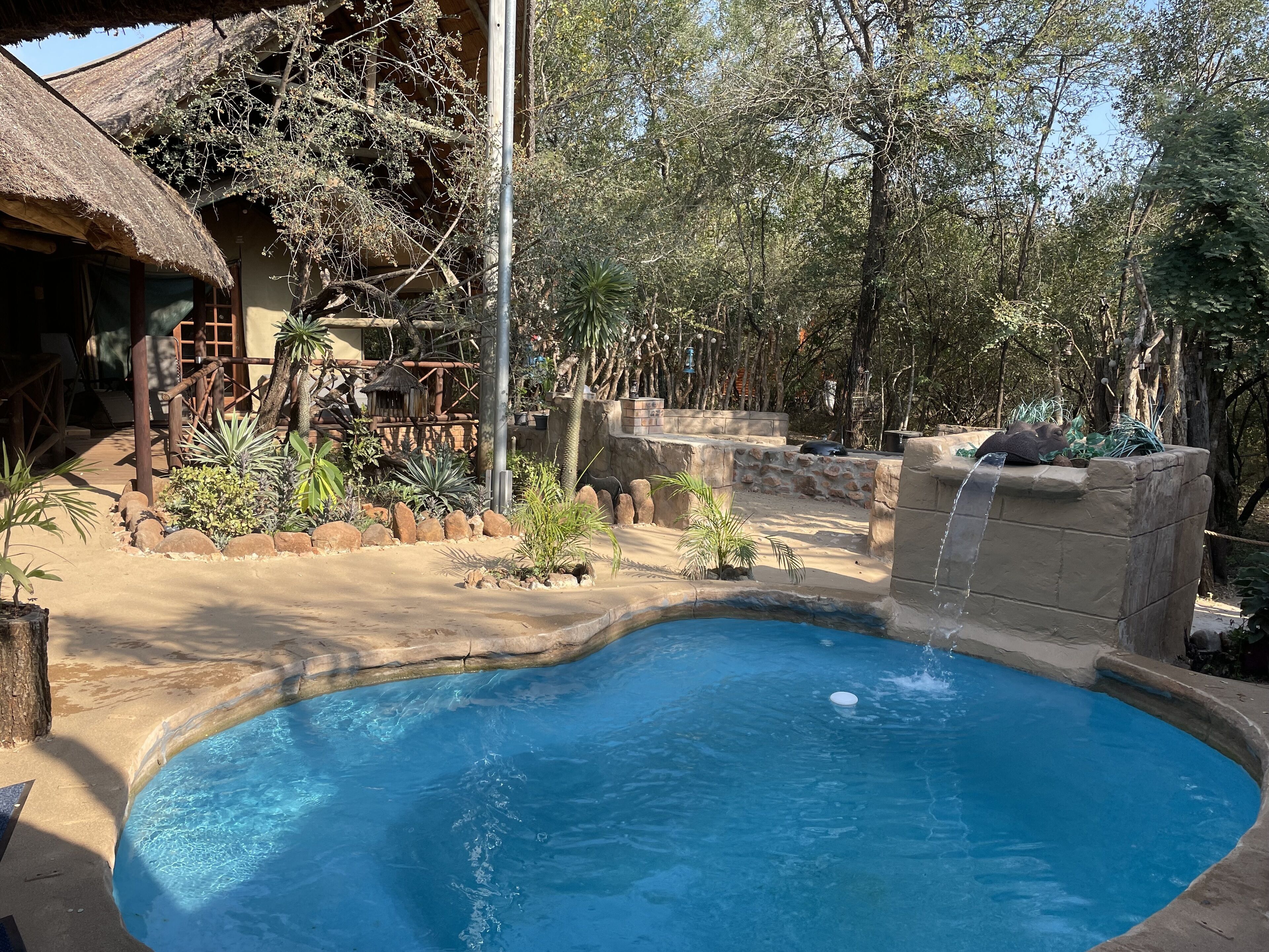A swimming pool surrounded by a naturalistic setting with rocks, plants, and a thatched-roof structure.