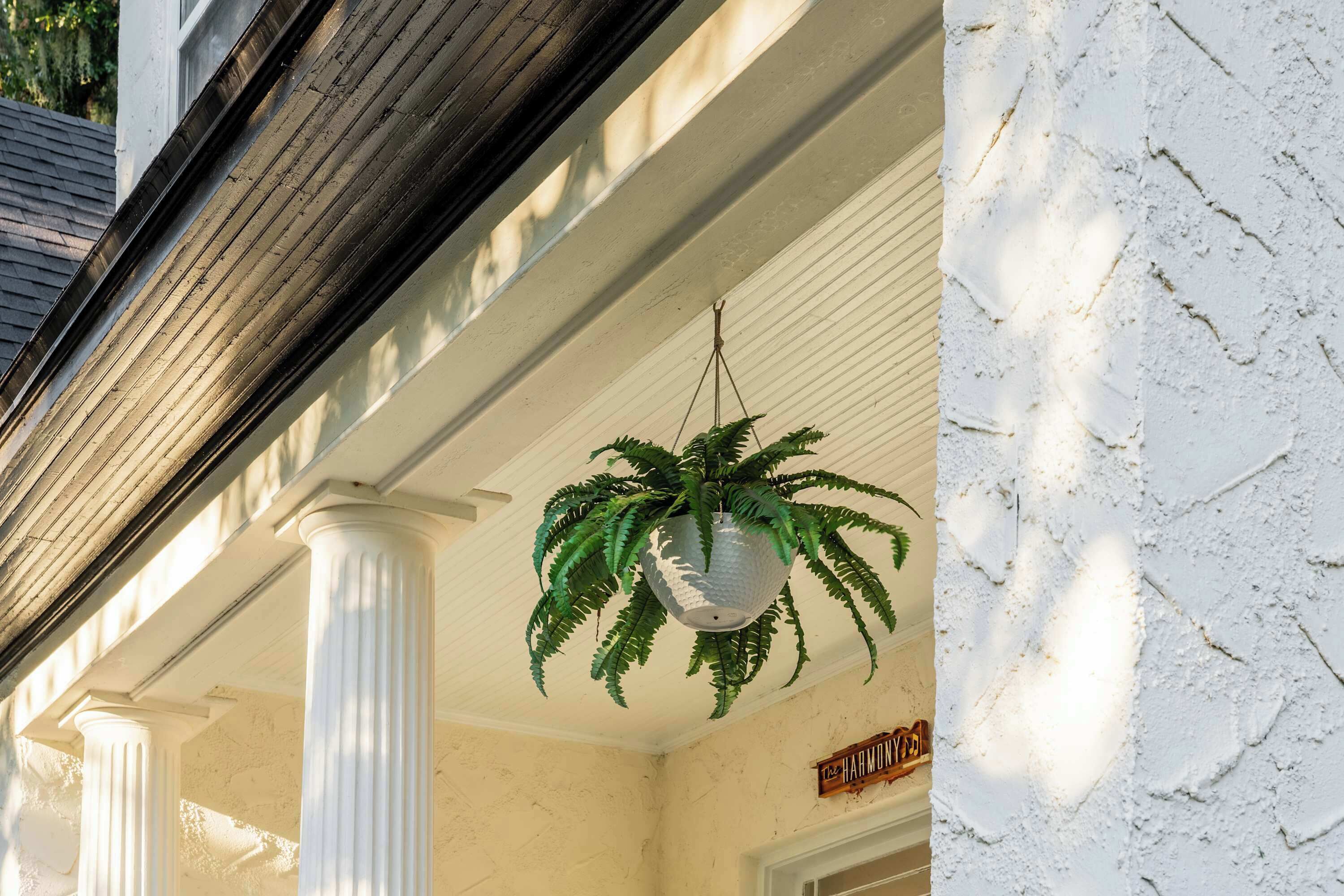 A white building with columns and a hanging plant.