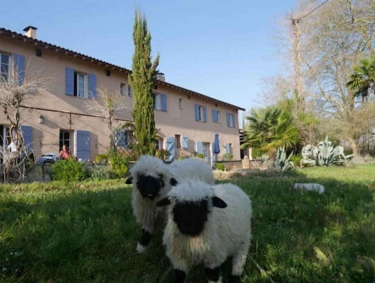 Image de profil de l’hôte