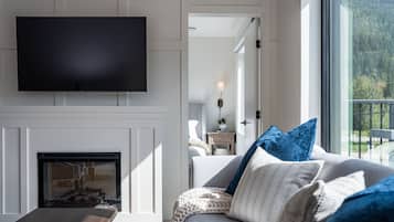 TV, fireplace, books, offices