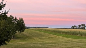 Een landelijk landschap met een veld, een weg en bomen.