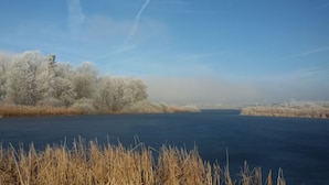 Een bevroren rivier met bomen aan de linkerkant en droog gras op de voorgrond.