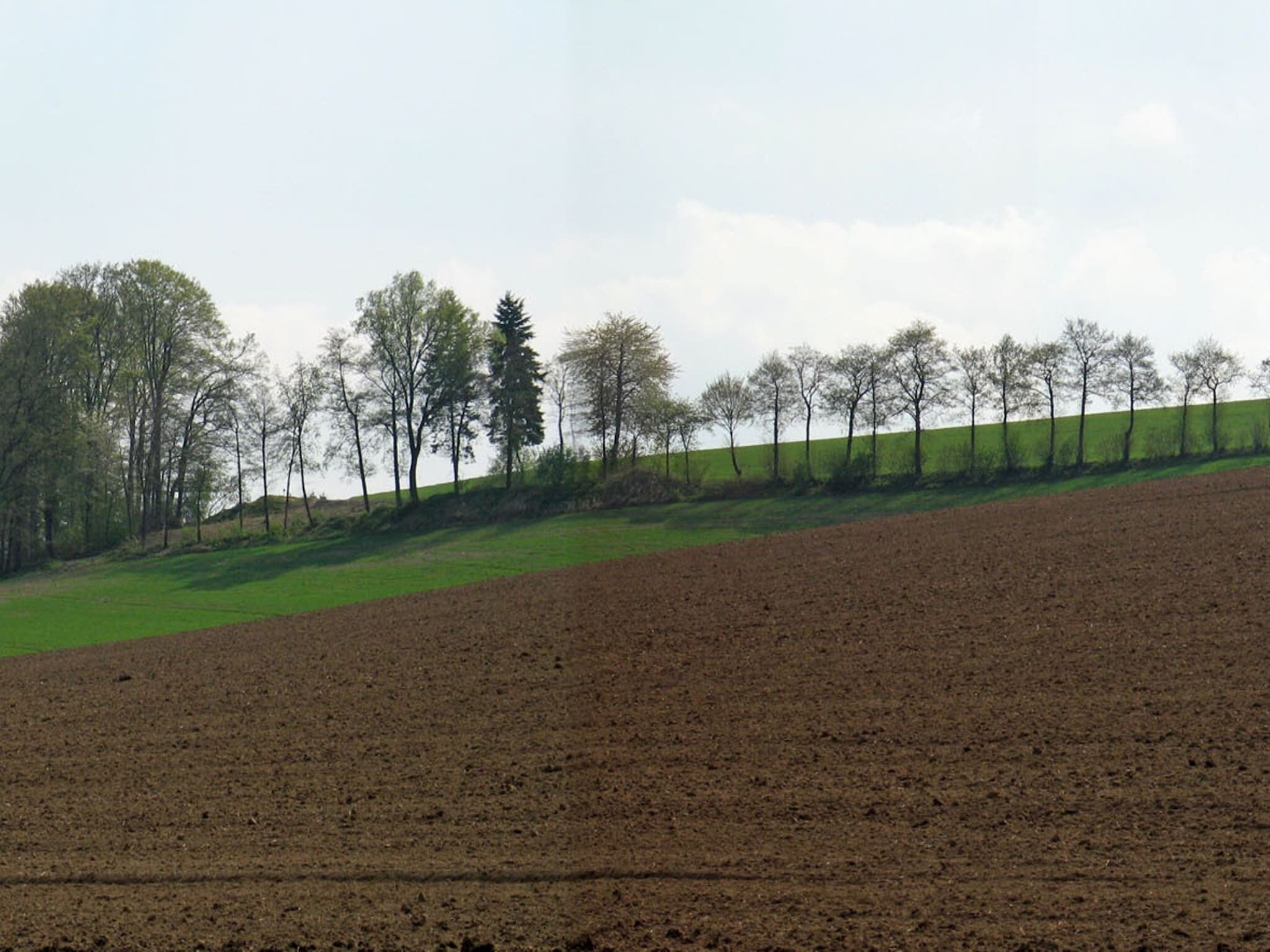 A rural landscape with a plowed field, a green hill, and a line of trees.