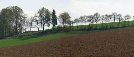 A rural landscape with a plowed field, a green hill, and a line of trees.