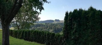 Peaceful Forest Getaway