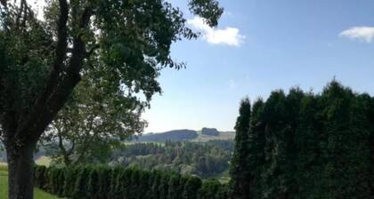 Friedlicher Waldurlaub