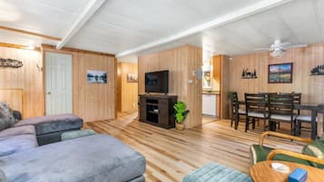 Smart TV, chimenea, libros