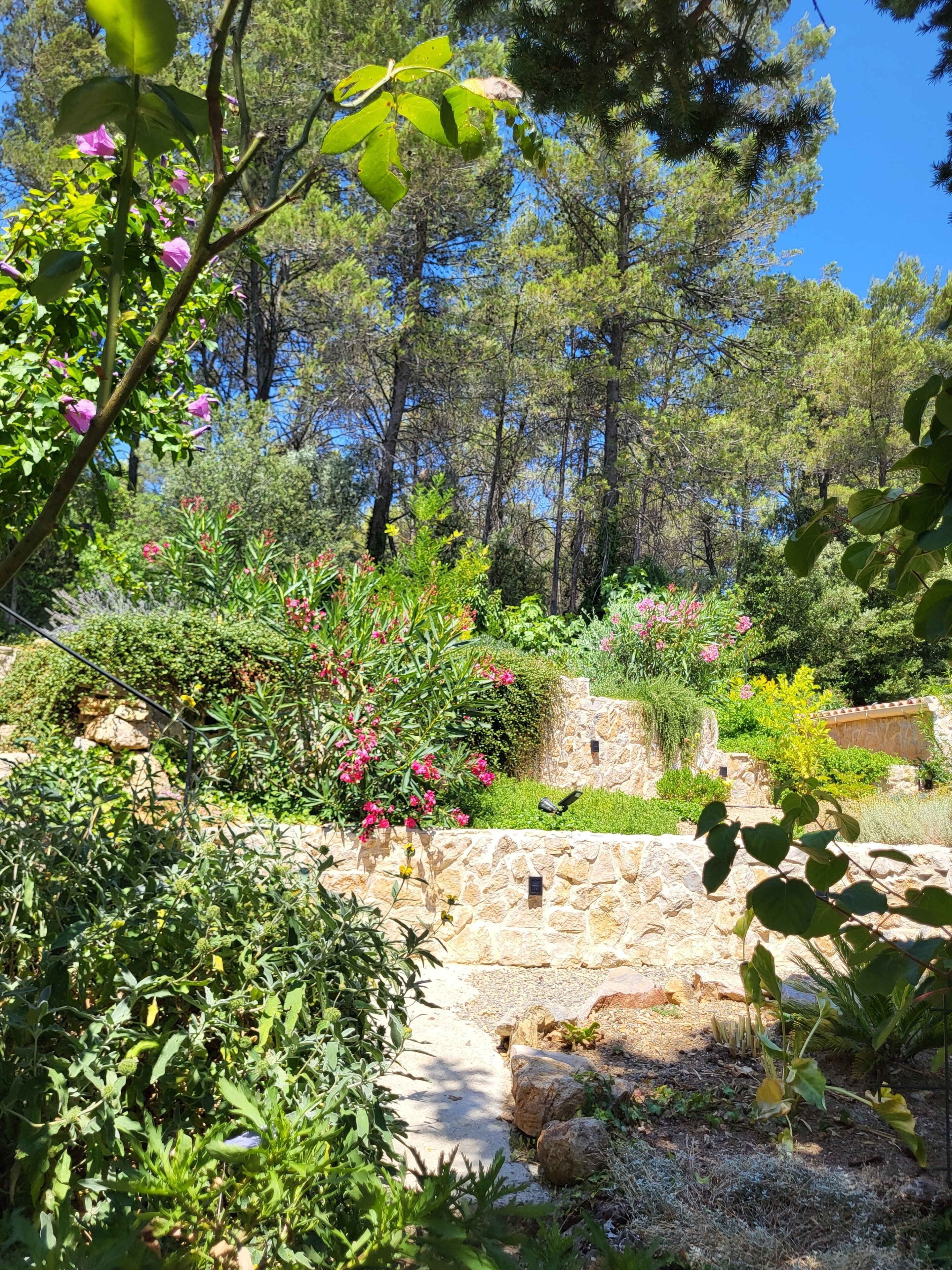 Enceinte de l’hébergement
