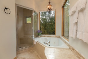 Combined shower/tub, hair dryer