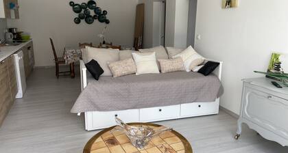 location appartement 6 Pers. avec piscine "Hirondelle"