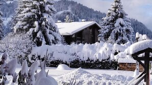 A wooden cabin surrounded by snow-covered trees and a mountain backdrop.