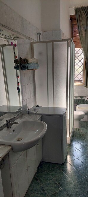Shower, hair dryer, bidet, towels