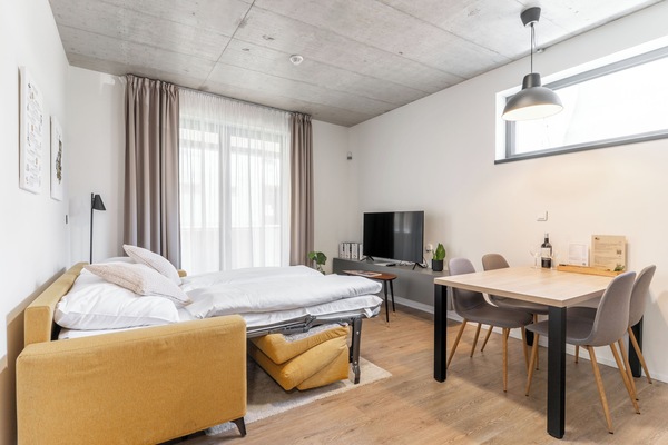 Standard Apartment | Living area | 50-inch LCD TV with cable channels