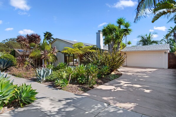 A modern house with a garage, surrounded by a variety of tropical plants and a clear blue sky.