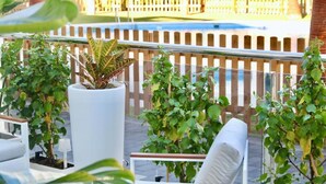 Uma varanda com uma cadeira branca, plantas em vasos e uma cerca de madeira ao fundo.