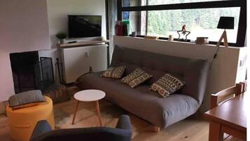 Fernseher, Kamin, Bücher