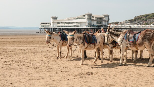 A beachfront building with a pier, several donkeys with saddles, and a sandy beach. - The Nest (Bridgwater)