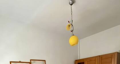 Appartement au Centre Ville