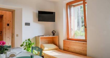 Green Chalet Scalotta - private Jacuzzi and SPA - few steps from lake and best trekking