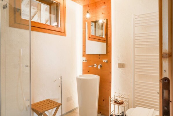 Shower, hair dryer, bidet, towels