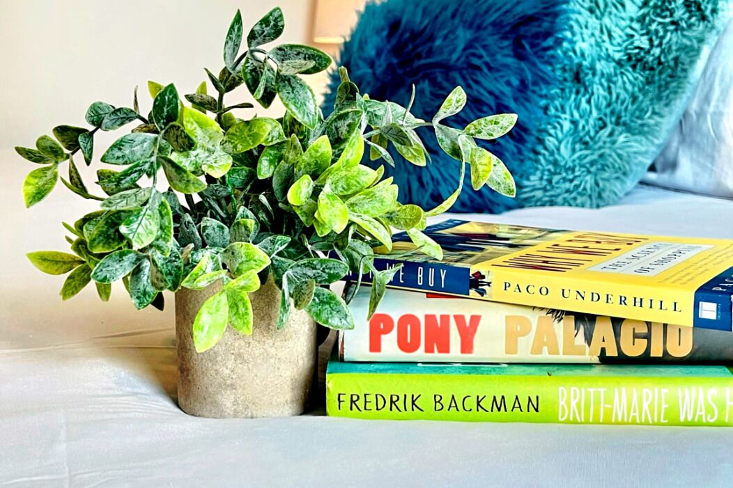 A plant in a pot, a stack of books, and a blue pillow on a surface.