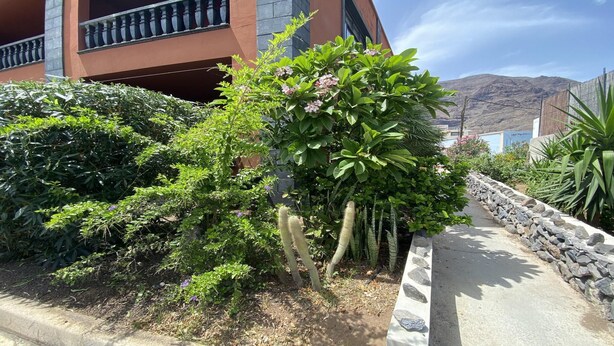 Un camino bordeado de diferentes plantas y un edificio con balcón.