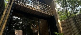 Cabaña de Bambú en la Selva