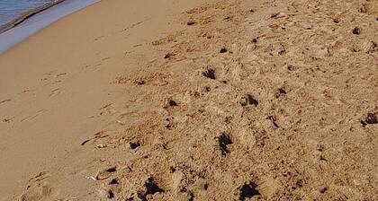 Penthouse 9th- at Seventh Heaven-Railway Station-City Center-